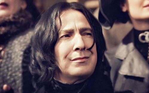 斯内普漫画,揭秘霍格沃茨的神秘面纱